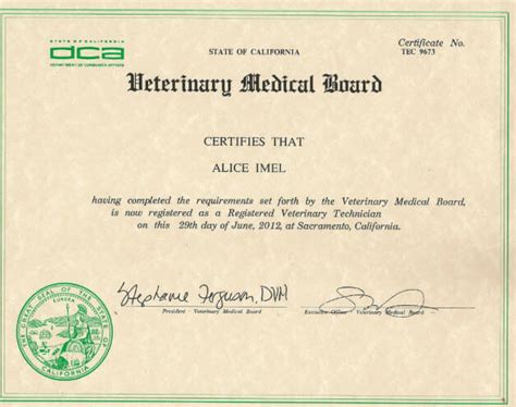 texas veterinary technician license.